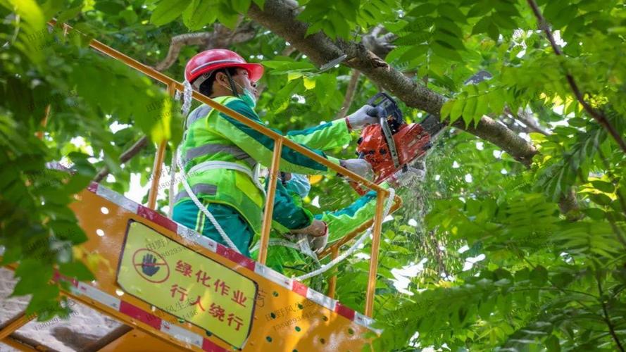 綠化工程造價預(yù)算定額怎么算